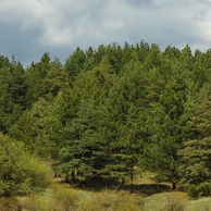 Още една панорама в Софийска Стара планина