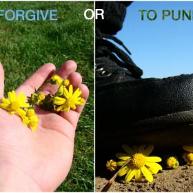 to forgive or to punish