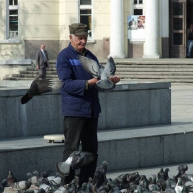 човекът с гълабите