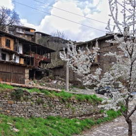 пролет в ковачевица