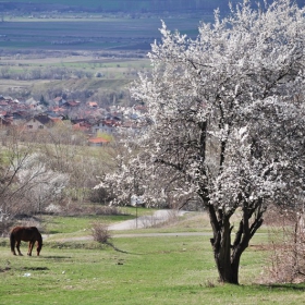 Пролет