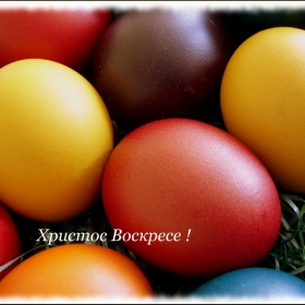 Христос Воскресе! Много здраве,любов и щастие!