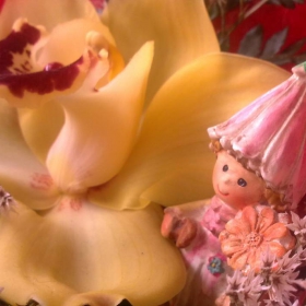 Fairy