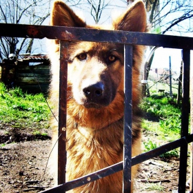 Затворник