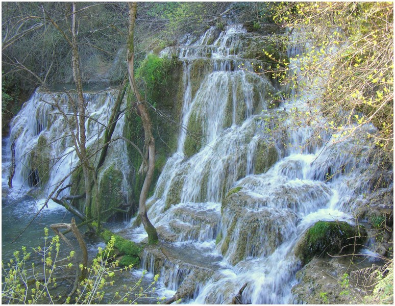 Крушуна