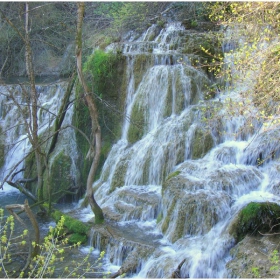 Крушуна