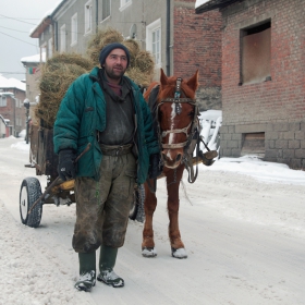 Не го плашат сняг и студ 2