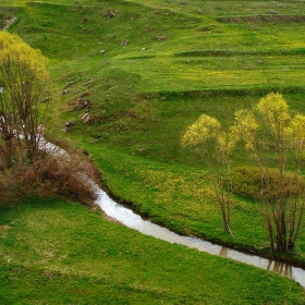 Зелено