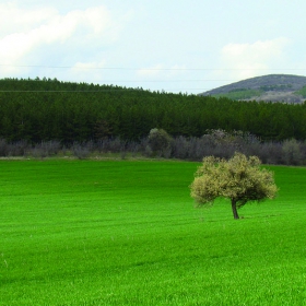 Пролетта в Средна гора