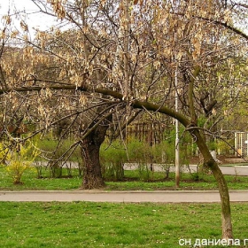 Разходки в парка Заимов 1