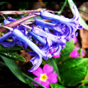 colorful