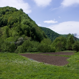 Малко кътче от село Васильово