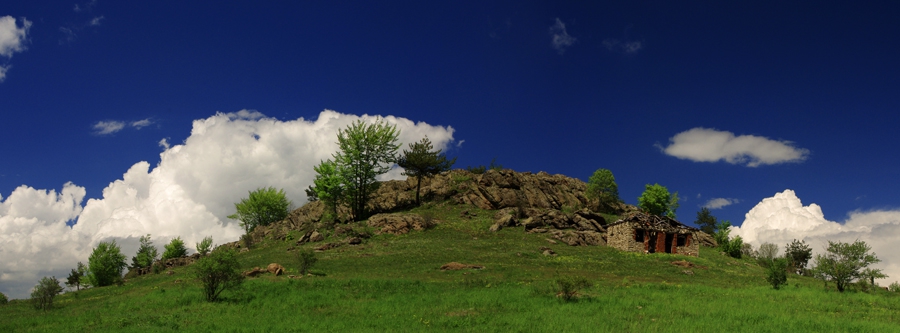 landscape 1