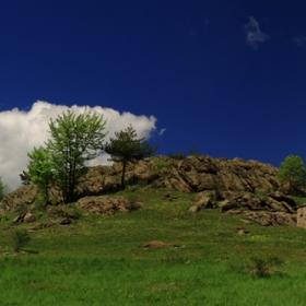 landscape 1
