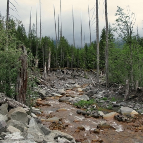 Rainier Mt. (Kautz Creek)