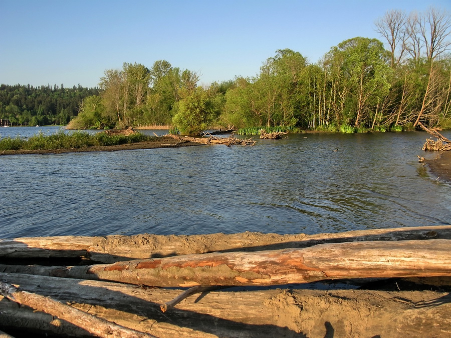 Sammamish Lake (Seattle)