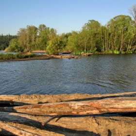 Sammamish Lake (Seattle)