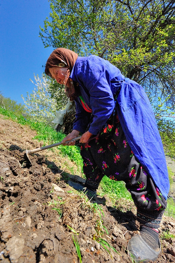 приказка ... за боба и бабата (2)