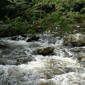Водите на времето