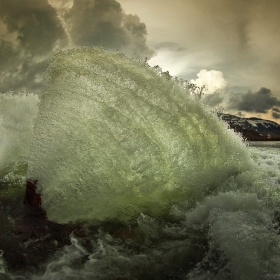 Водни пеперуди