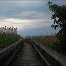 ...:::A raining day in Corolla, NC:::...