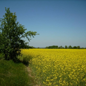 ПРОЛЕТ