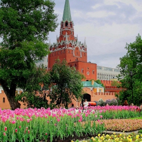 Александровский сад - Москва