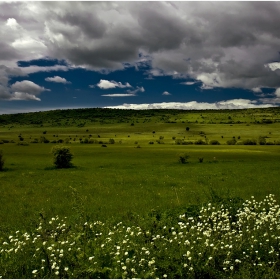 Някъде из България