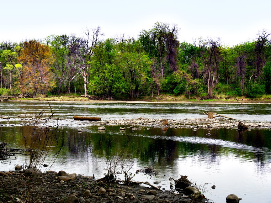 Beyond the river and among the trees