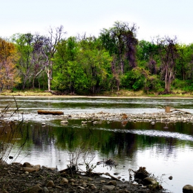 Beyond the river and among the trees
