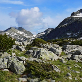 Произведено в България