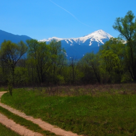 Фотоконкурс B, Фотопленер 