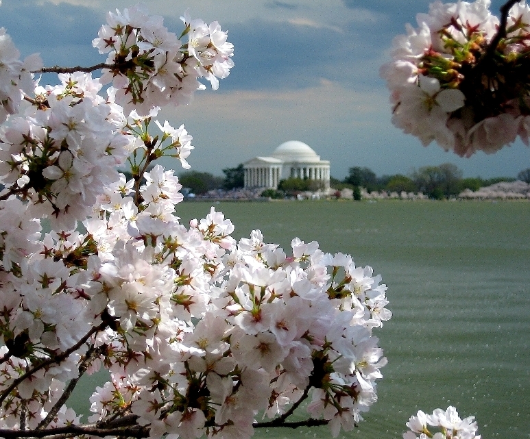 DC пролет