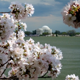 DC пролет