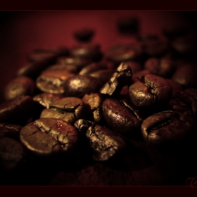 The finest pleasure...