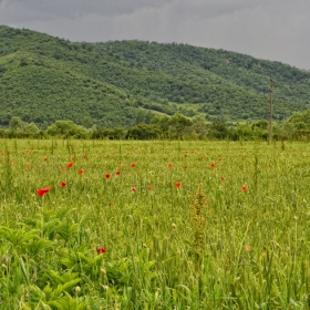 Някъде из България