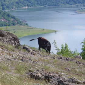 Не си много далече ...