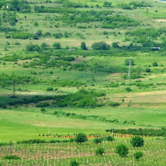 червената църква