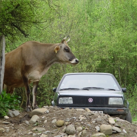 Снимка без име