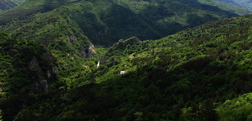Красотата на Родопите