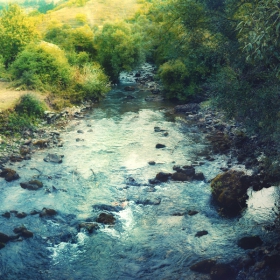 рекичка