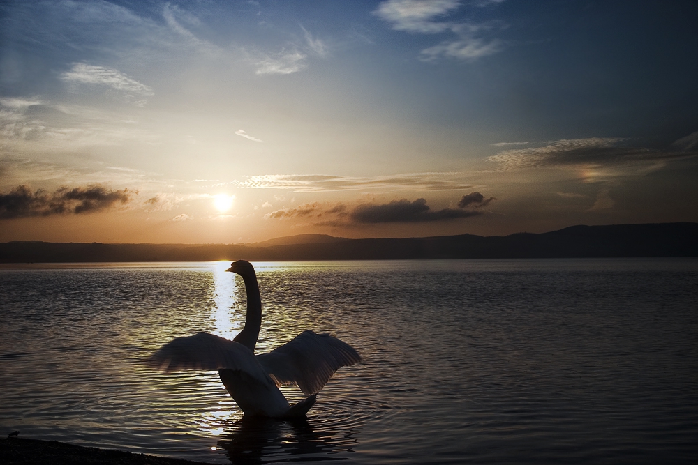 Beyond The Sunset...