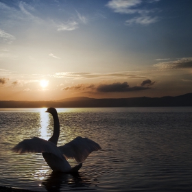 Beyond The Sunset...