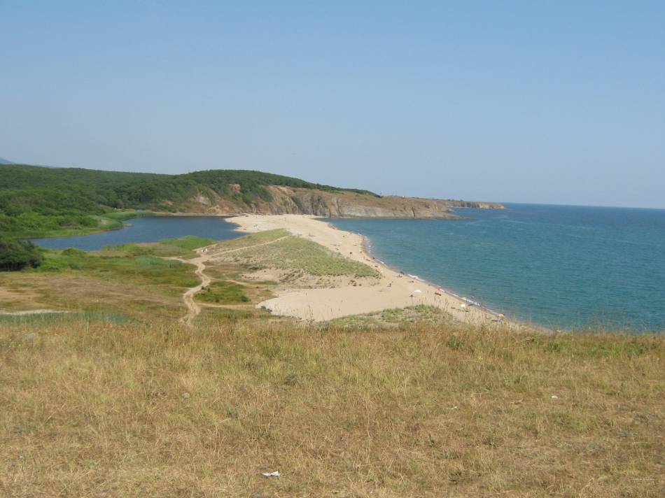 Kosata