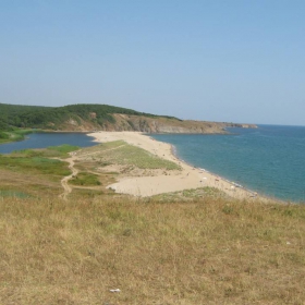 Kosata