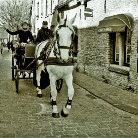 Brugge - Belgium_11