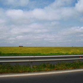 От колата