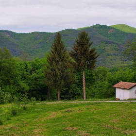 Пейзаж с къщичка и  2 бора