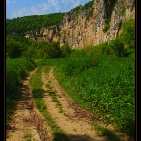 с. Кошов; Природен Парк 