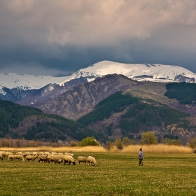 Под Балкана